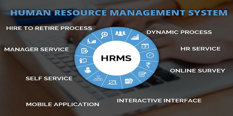 How HRMS Software Helps Businesses To Grow?